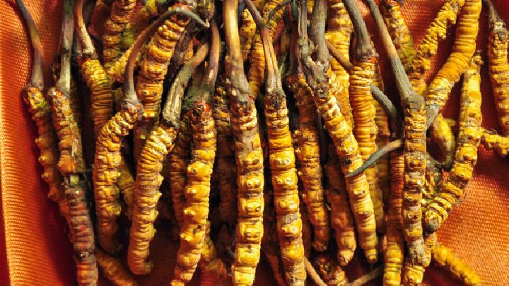 男性吃冬蟲夏草可以壯陽嗎 冬蟲夏草該怎么吃壯陽效果最佳