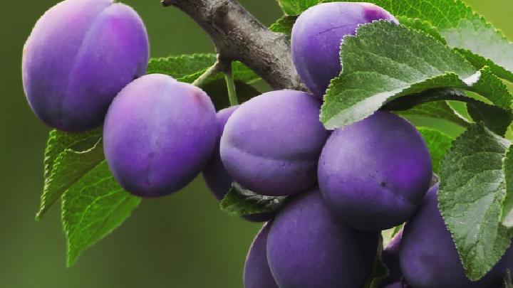 壯陽(yáng)效果不輸偉哥的5種水果 4個(gè)有效提升性能力的好習(xí)慣