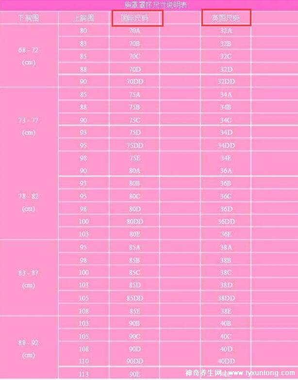 胸圍尺寸尺碼對照表，女生標準罩杯ABCD尺碼表(附測量方法)