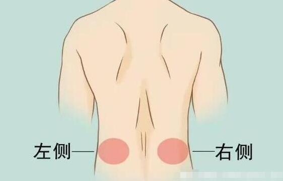 女性后背疼警惕四種病，腰部周圍痛小心婦科病(疼痛位置圖解)