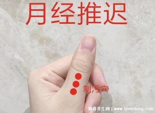 一天三袋益母草加速月經，催姨媽神器(益母草顆粒)