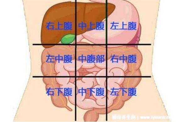 男性左側(cè)疼痛位置圖圖解，左側(cè)肋骨下方疼除了炎癥還可能是癌