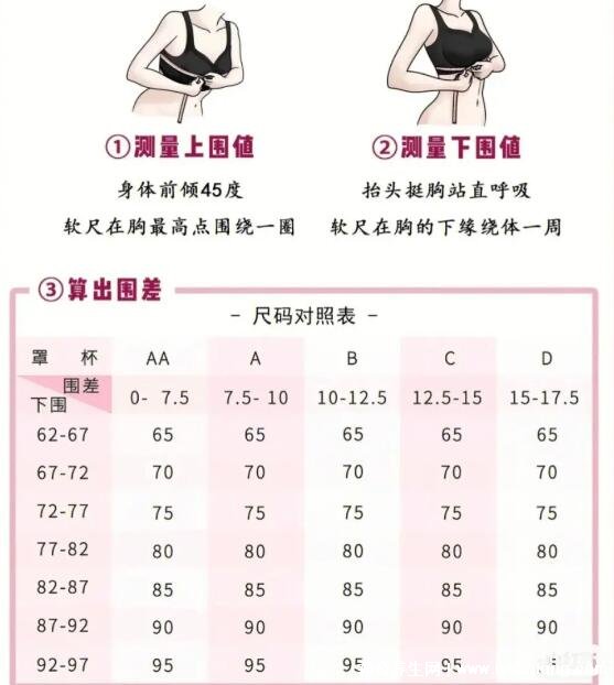 胸圍尺寸尺碼對照表，女生標準罩杯ABCD尺碼表(附測量方法)
