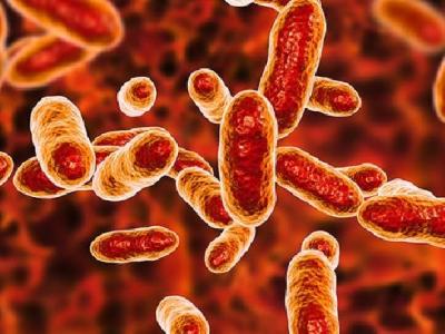 假性尖銳濕疣飲食注意什么