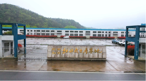 職場助攻！職場人如何用六味地黃丸調(diào)理身體？