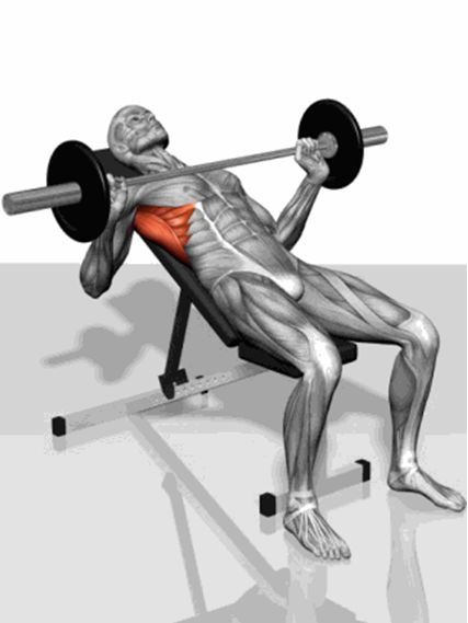 真人版《七龍珠》已上線，54歲健美運(yùn)動(dòng)員如何打造龜仙人身材？