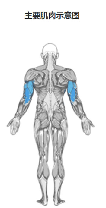 戰斗民族竟把公園改造成健身房，這樣的高技巧操作大寫服氣