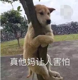 最新奇健身方式讓你1秒變高手，網(wǎng)友稱原來健身器材還可以這么用