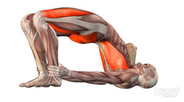 每天一式學瑜伽：橋式！改善月經(jīng)不適