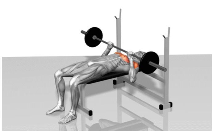 真人版《七龍珠》已上線，54歲健美運(yùn)動(dòng)員如何打造龜仙人身材？