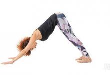 每天一式學(xué)瑜伽：下犬式！有效改善頭痛與失眠