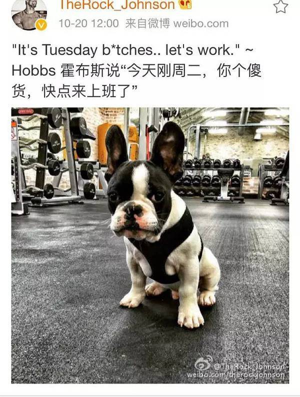 大塊頭有大智慧 巨石強森的健身歷程