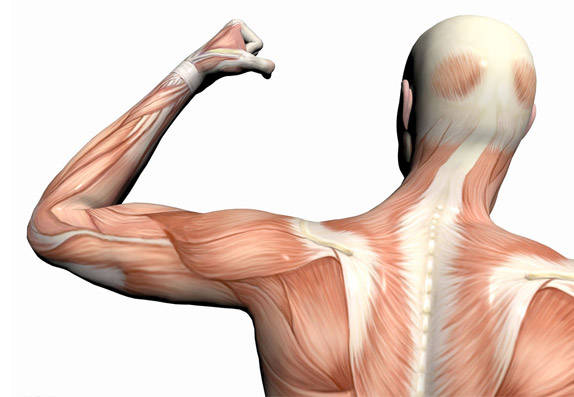 利用InBody，5分鐘讀懂你的身體