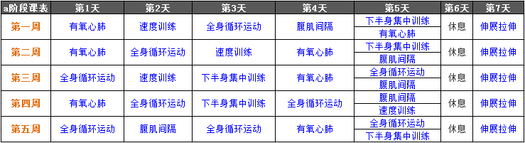 T25視頻課表與成功案例  練Focus T25必看