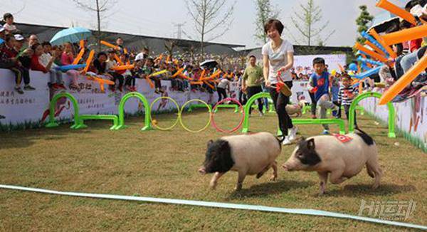 我們竟然跟它的生活方式驚人相似！所以身材相似也不足為奇