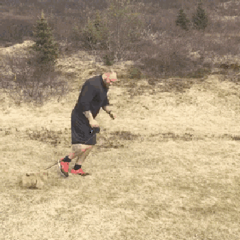 2018年世界大力士冠軍，硬拉1041磅打破世界紀錄：喜歡小狗狗