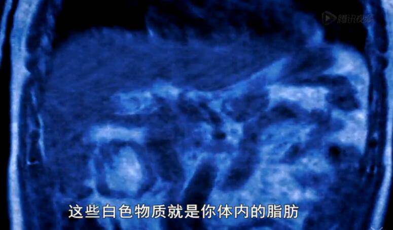 《鍛煉的真相》BBC紀錄片顛覆你的認知