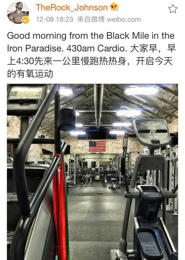 大塊頭有大智慧 巨石強森的健身歷程