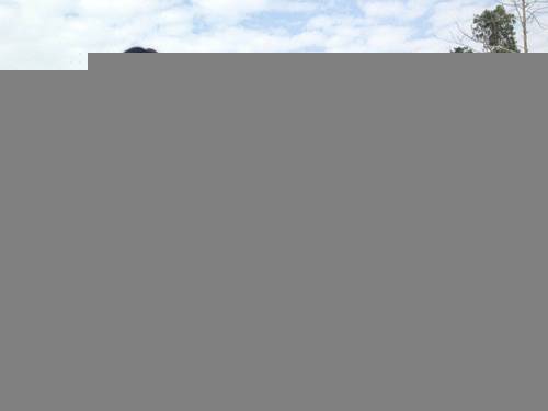 蛻變記 140斤胖妞的減肥心得分享