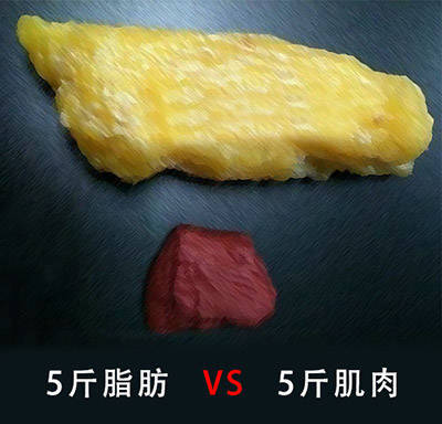 利用InBody，5分鐘讀懂你的身體