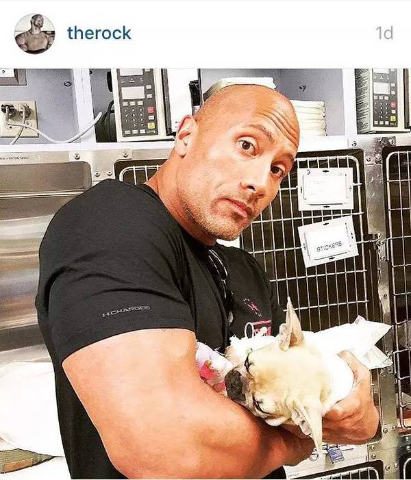 大塊頭有大智慧 巨石強森的健身歷程