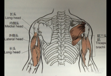 開發洪荒之力 3個動作強化麒麟臂