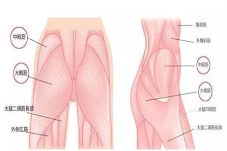練臀這個(gè)動(dòng)作最有效，三個(gè)瑜伽體式輕松做到