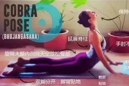 練習(xí)瑜伽眼鏡蛇式動作，千萬注意避免這些誤區(qū)