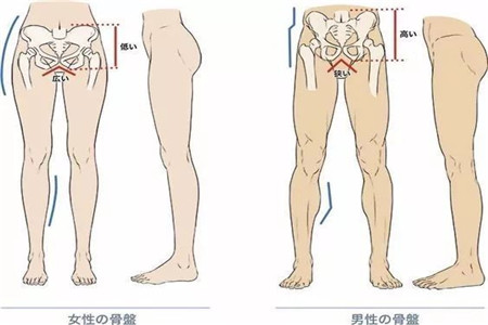 瑜伽老師的私密體式動作教程分析，打開胯部正確練習(xí)瑜伽