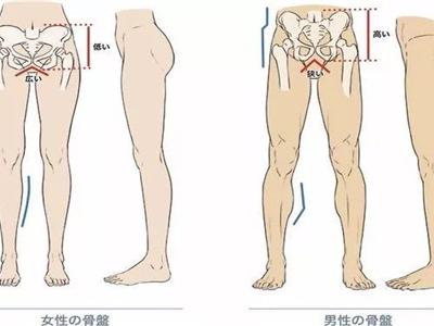 瑜伽老師的私密體式動作教程分析，打開胯部正確練習瑜伽