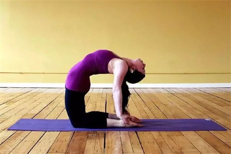 練習瑜伽排毒養顏，四個瑜伽動作讓你越練越年輕