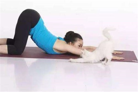 同房姿勢108種,瑜伽幫你打開性愛姿勢內(nèi)附圖解-易網(wǎng)<a href=http://www.gyfww.com/ target=_blank class=infotextkey>健康養(yǎng)生</a>網(wǎng) 同房姿勢108種,瑜伽幫你打開性愛姿勢內(nèi)附圖解