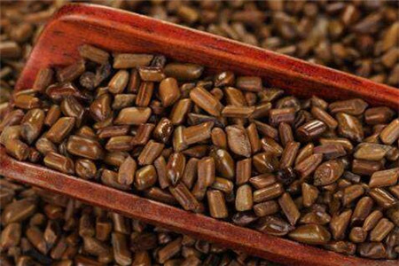 決明子的減肥功效