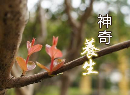 一周瘦幾斤效果好