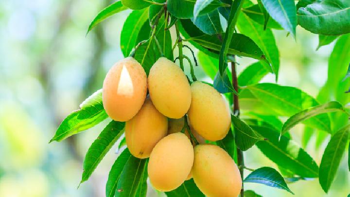 減肥餐與美味無緣 最好吃的減肥食物排行榜-易網健康養生網 減肥餐與美味無緣 最好吃的減肥食物排行榜