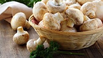 減肥能吃脂肪嗎,減肥時食用脂肪正確方式-易網<a href=http://www.gyfww.com/ target=_blank class=infotextkey>健康養生</a>網 減肥能吃脂肪嗎,減肥時食用脂肪正確方式