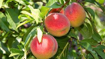 減肥知識 當心這9種消化問題影響你的體重-易網<a href=http://www.gyfww.com/ target=_blank class=infotextkey>健康養生</a>網 減肥知識 當心這9種消化問題影響你的體重