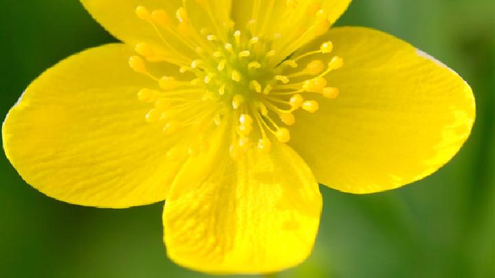 女性產后營養(yǎng)減肥餐吃什么好 女性產后健康減肥食譜推薦