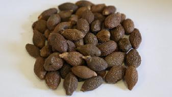 為什么有人吃不胖？真正的妙招有12個