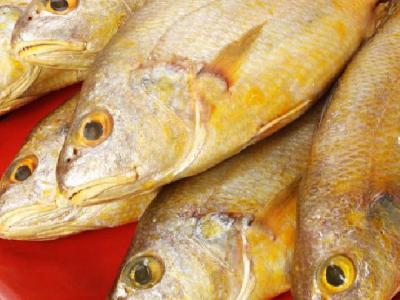 不容錯(cuò)過(guò)的經(jīng)期減肥食譜推薦 女性經(jīng)期減肥最快秘籍不容錯(cuò)過(guò)