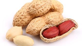 花生能平衡膳食，有效減肥