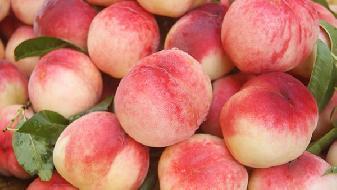 剛想飲食減肥，飯局來了應該怎么辦