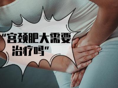 飲食減肥計劃？一周飲食減肥計劃？