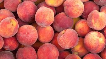 迅速瘦身44斤不是夢(mèng)，每日飲食減肥法則