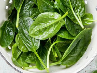 海帶決明子減肥可行嗎？海帶決明子有減肥功效嗎？