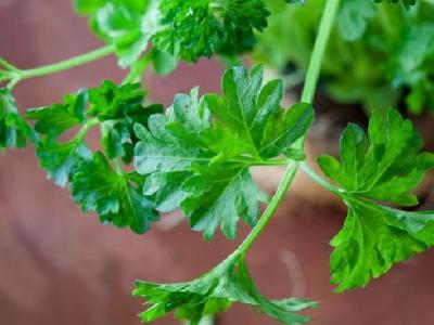 經(jīng)期如何減肥？女性經(jīng)期減肥正確方法是什么？