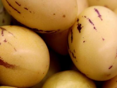 如何避免減肥導致的月經不調？總結減肥導致月經不調的要點