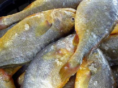 節(jié)食須有度！英國女孩想減肥過度節(jié)食竟致死