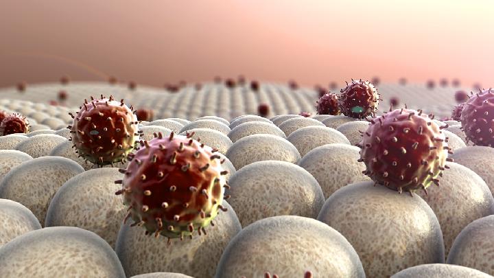 減肥吃什么好?夏天減肥可別錯(cuò)過這6種瓜-易網(wǎng)<a href=http://www.gyfww.com/ target=_blank class=infotextkey>健康養(yǎng)生</a>網(wǎng) 減肥吃什么好?夏天減肥可別錯(cuò)過這6種瓜