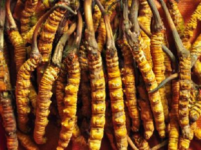 減肥會瘦胸？健身減肥對胸部有什么幫助？